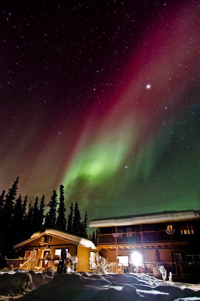 A Mooseberry Inn B&B Slana Eksteriør bilde